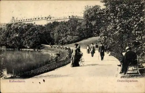 Ak København Kopenhagen Dänemark, Orstedsparken, Partie im Stadtpark