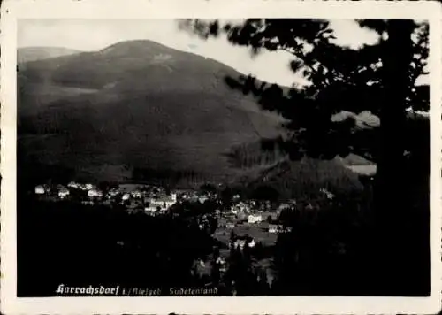 Ak Harrachov Harrachsdorf Riesengebirge Region Reichenberg, Blick auf den Ort