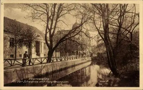 Ak Eberswalde in der Mark, an der Schwärze, Forstmuseum