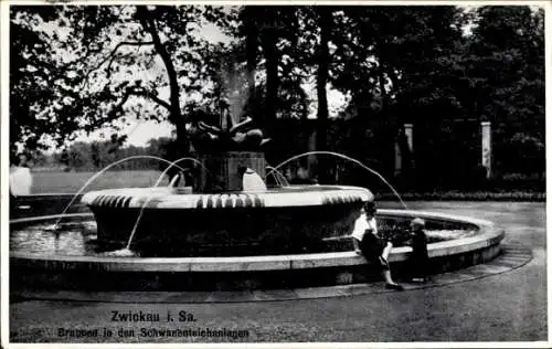 Ak Zwickau in Sachsen, Partie am Brunnen in den Schwanenteichanlagen, Kinder