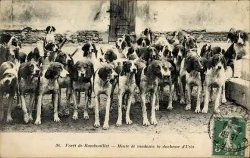 Ak Yvelines Frankreich, Meute de Madame la Duchesse d'Uzes