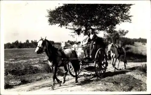 Ak Bouches-du-Rhône, In der Camargue, Kutschenfahrt, Auf dem Weg zum Dorffest