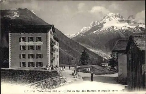 Ak Tréléchamp Haute Savoie, Hotel du Col des Montets und Aiguille verte