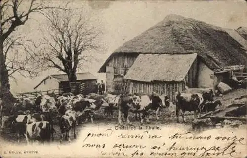 Ak Salève Haute Savoie, Chalet de la Thuile, Kühe am Reetdachhaus