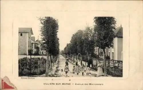 Ak Villiers sur Marne Val de Marne, Avenue des Marronniers