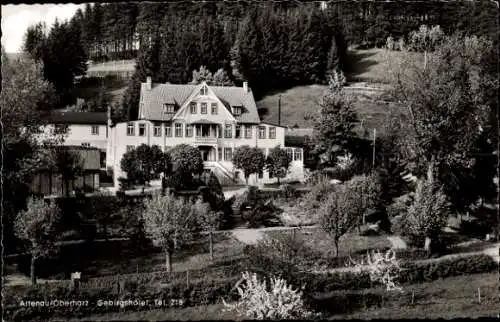 Ak Altenau Clausthal Zellerfeld im Oberharz, Blick zum Gebirgshotel, Wald