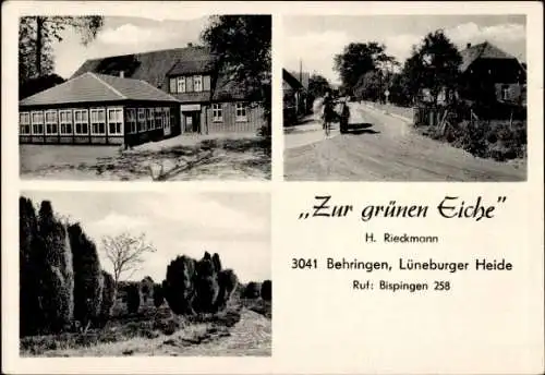 Ak Behringen Bispingen Lüneburger Heide, Zur grünen Eiche, Straße, Pferdegespann