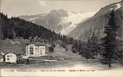 Ak Tréléchamp Haute Savoie, Hotel du Col des Montets