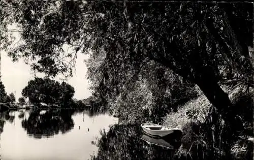 Ak Mézy sur Seine Yvelines, Les bords