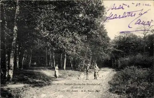 Ak Saint Nom la Bretèche Yvelines, Ronte des Hones