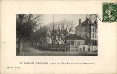 Ak Le Parc de Saint Maur Val de Marne, Avenue Blanche, Avenue Beausejour