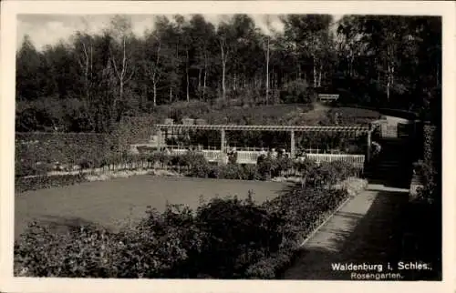 Ak Wałbrzych Waldenburg Schlesien, Rosengarten