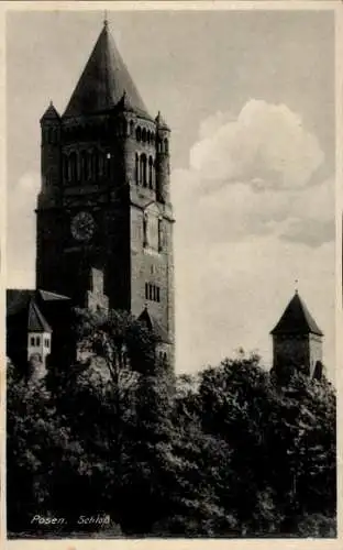 Ak Poznań Posen, Schloss