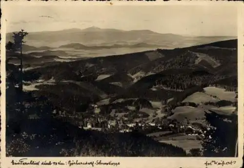 Ak Sokołowsko Görbersdorf Schlesien, Fernblick, Schneekoppe