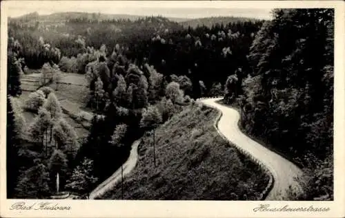 Ak Kudowa Zdrój Bad Kudowa Schlesien, Heuscheuerstraße