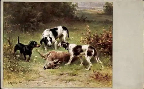 Künstler Ak Reinert, C., Munk 293, Jagdhunde und Dackel mit erlegtem Hirsch