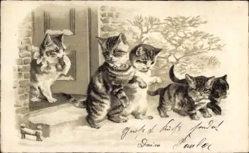 Präge Litho Katzenjungen