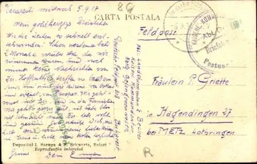 Ak Rumänien, Rumänische Bauern bei der Weinlese, Rinderkarren