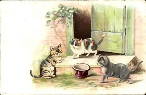 Litho Drei junge Katzen