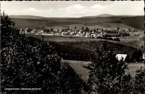 Ak Langewiese Winterberg im Sauerland, Panorama