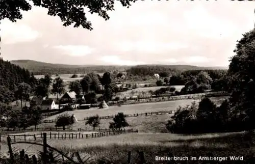 Ak Breitenbruch Arnsberg im Sauerland, Panoramablick über den Ort