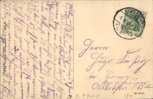 Ak Carolagrün Auerbach im Vogtland, Ansicht von Osten, Häuser im Walde