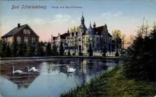 Ak Bad Schmiedeberg Sachsen Anhalt, Blick auf das Kurhaus, Teich, Schwäne