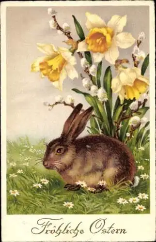 Ak Glückwunsch Ostern, Osterhase, Weiße Narzissen, Weidenkätzchen