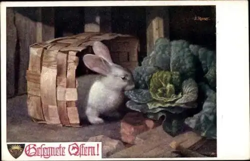 Künstler Ak Rainer, J., Glückwunsch Ostern, Hase frisst Kohlkopf, Deutscher Schulverein 877