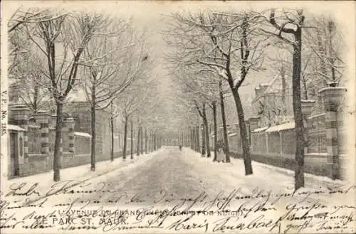 Ak Le Parc de Saint Maur Val de Marne, L'Avenue du Grand Ch., Winter