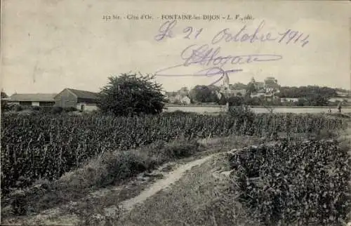 Ak Fontaine lès Dijon Côte d'Or, Teilansicht, Feldweg