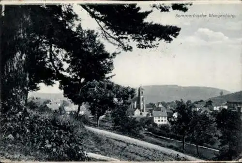 Ak Wangenbourg Wangenburg Elsass Bas Rhin, Teilansicht