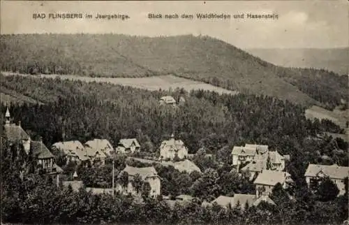 Ak Świeradów Zdrój Bad Flinsberg Schlesien, Waldfrieden und Hasenstein