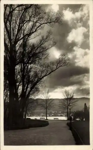 Ak Zürich Stadt Schweiz, Partie am Zürichsee