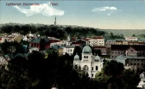 Judaika Ak Eberswalde in der Mark, Gesamtansicht, Synagoge