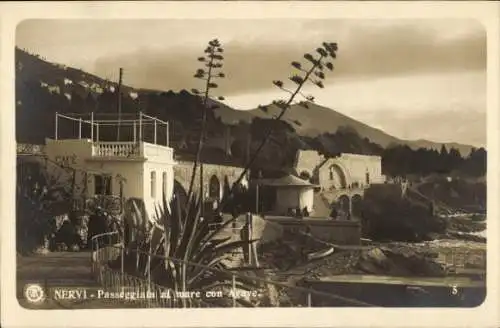 Ak Nervi Genova Genua Liguria, Passeggiata al mare con Agave