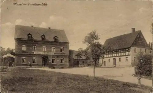 Ak Mosel Zwickau in Sachsen, Gasthaus zur Forellenmühle