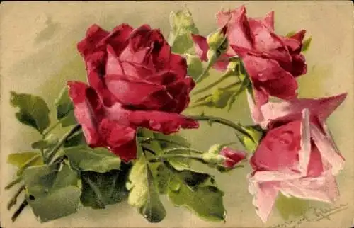 Künstler Litho Klein, Catharina, rote Rosen, Knospen