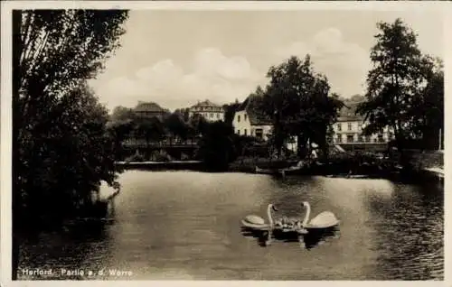 Ak Herford in Westfalen, An der Werra, Schwäne