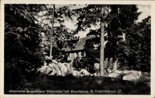 Ak Friedrichsbrunn Thale im Harz, Anhaltisches Berggasthaus Viktorshöhe