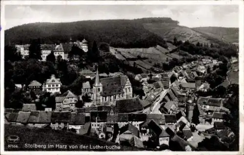 Ak Stolberg im Harz, Gesamtansicht, Blick von der Lutherbuche