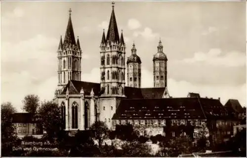 Ak Naumburg an der Saale, Dom und Gymnasium