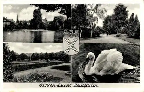 Ak Castrop Rauxel im Ruhrgebiet, Stadtgarten, Schwan, Wappen