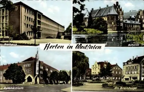 Ak Herten im Ruhrgebiet Westfalen, Gymnasium, Rathaus, Schloss, Am Bramhügel