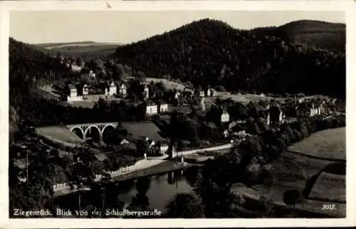 Ak Ziegenrück am Schiefergebirge Thüringen, Blick von der Schlossbergstraße 