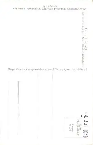 Ak Schriesheim an der Bergstraße, Haus J. Scheid, Fliegeraufnahme