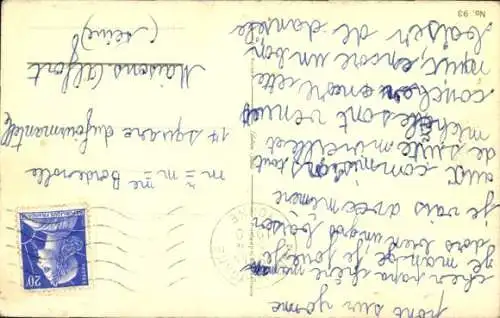 Ak Tierportrait, langhaarige Katze