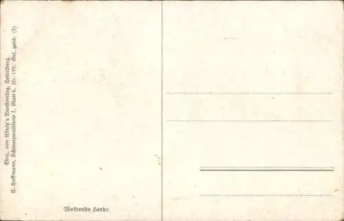 Künstler Ak Hoffmann, H., Schwarzwald, Weidende Kuhherde, Hirtenmädchen