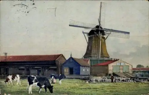 Ak Zaandam, Ortspartie, Windmühle, Kühe