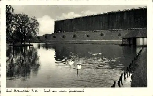 Ak Bad Rothenfelde am Teutoburger Wald, Teich am neuen Gradierwerk, Schwäne